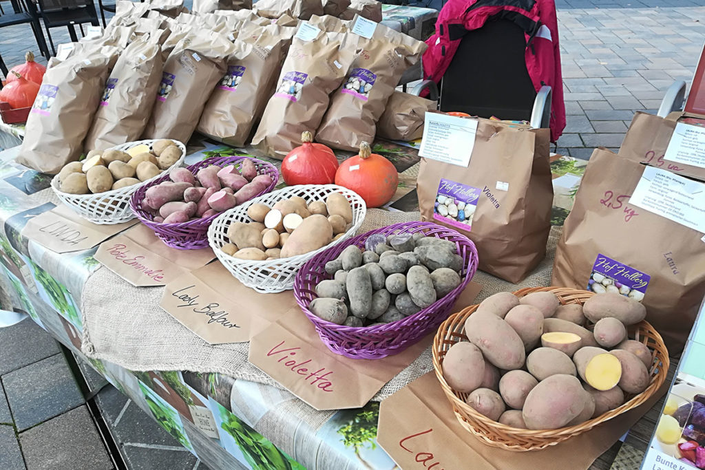 Unsere Angebote: Bunte Kartoffel auf einem Markt