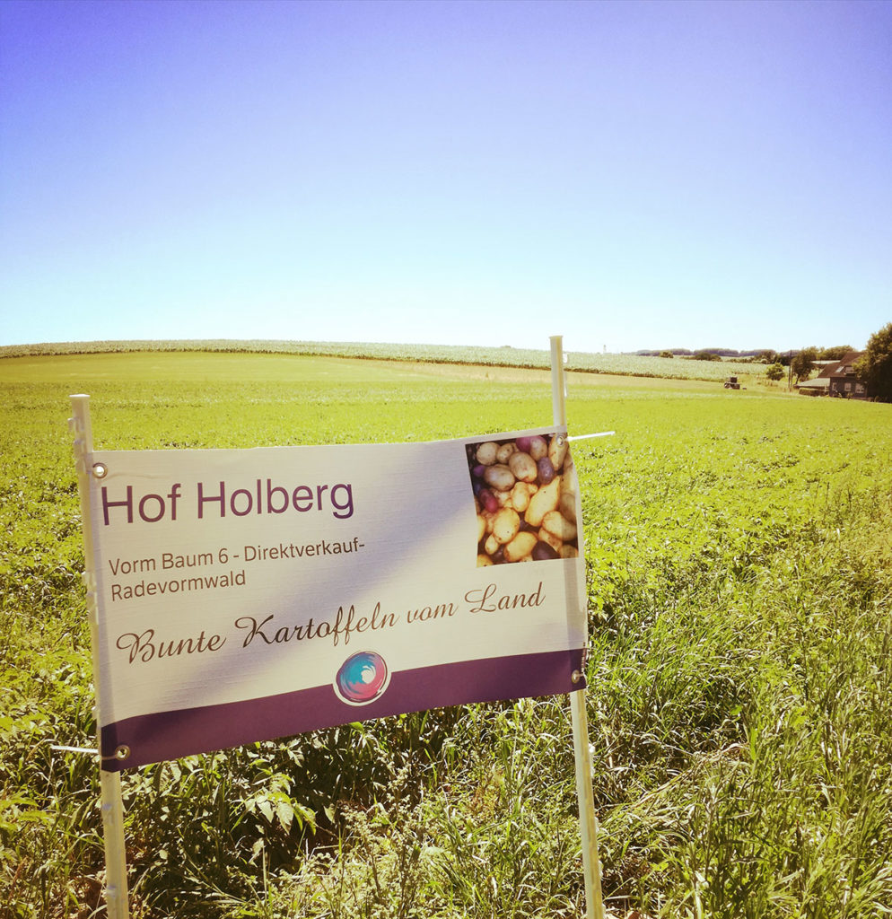 Banner von Hof Holberg auf einem Feld