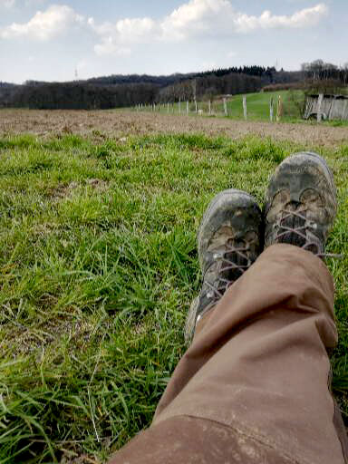 Relaxpause auf dem Kartoffelacker auf dem Bauernhof