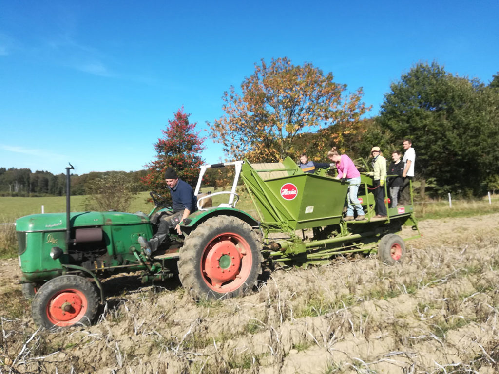 Freiwillige bei der Ernte